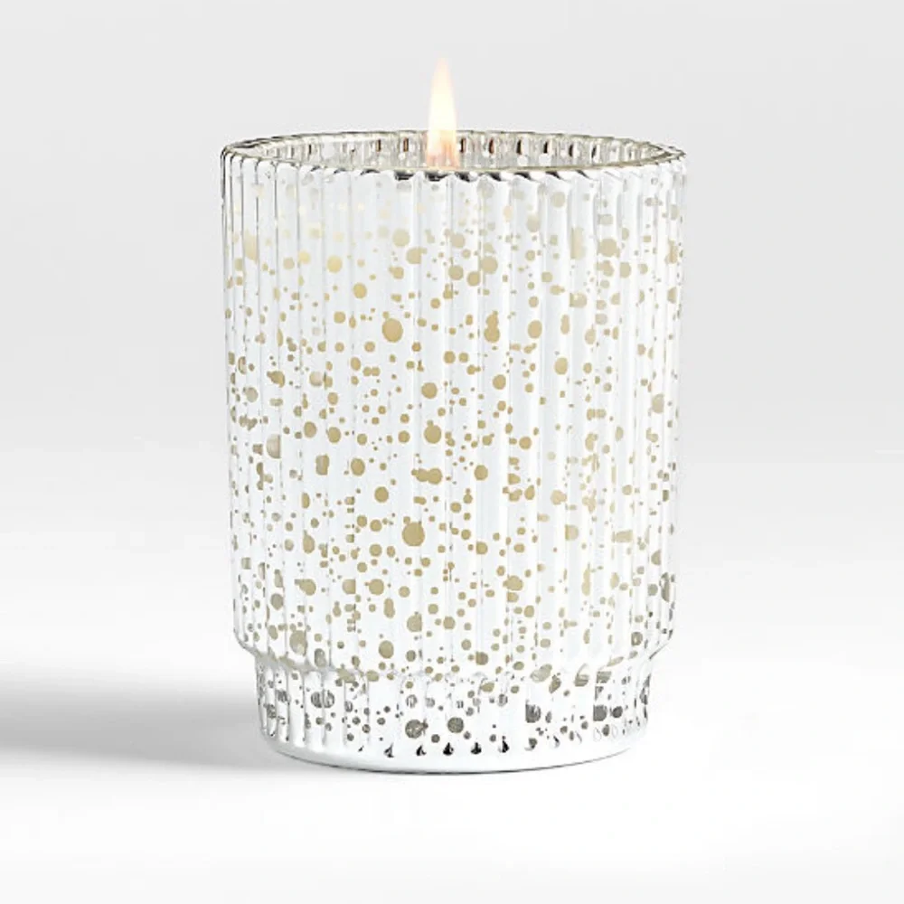 New! 🕯️✨🏔️Crate&Barrel Fete Silver Alpine 1-wick Candle